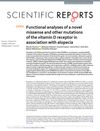 Functional Analyses of a Novel Missense and Other Mutations of the Vitamin D Receptor in Association with Alopecia