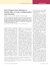 Early Dengue Virus Infection in Human Skin: A Cycle of Inflammation and Infectivity