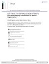 Hair Follicle and Interfollicular Epidermal Stem Cells Make Varying Contributions to Wound Regeneration