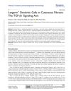 Langerin+ Dendritic Cells In Cutaneous Fibrosis: The TGF-β1 Signaling Axis