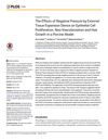 The Effects of Negative Pressure by External Tissue Expansion Device on Epithelial Cell Proliferation, Neo-Vascularization, and Hair Growth in a Porcine Model