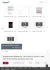 Life of the B10 Mouse: A View from the Hair Follicles and Tissue Stem Cells