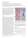 Clinical and Histopathological Features of Itch in Patients with Alopecia Areata