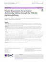 Vitamin B6 Promotes the Activation of Primordial Follicles Through the PI3K/Akt Signaling Pathway