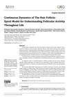 Continuous Dynamics of the Hair Follicle: Spiral Model for Understanding Follicular Activity Throughout Life