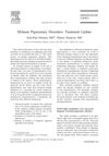 Melanin Pigmentary Disorders: Treatment Update