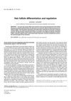 Hair Follicle Differentiation And Regulation