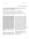 A New Tool for Conditional Gene Manipulation in a Subset of Keratin-Expressing Epithelia