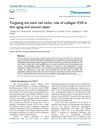 Targeting the Stem Cell Niche: Role of Collagen XVII in Skin Aging and Wound Repair