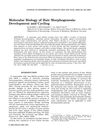 Molecular Biology of Hair Morphogenesis: Development and Cycling