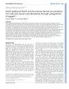 Adult Epidermal Notch Activity Induces Dermal Accumulation of T Cells and Neural Crest Derivatives Through Upregulation of Jagged 1