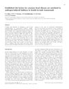 Established Risk Factors for Coronary Heart Disease Are Unrelated to Androgen-Induced Baldness in Female-to-Male Transsexuals