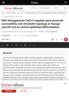 DNA Dioxygenases Tet2/3 Regulate Gene Promoter Accessibility and Chromatin Topology in Lineage-Specific Loci to Control Epithelial Differentiation