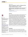 Irhom2 Mutation Leads to Aberrant Hair Follicle Differentiation in Mice