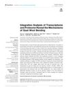 Integration Analysis of Transcriptome and Proteome Reveals the Mechanisms of Goat Wool Bending