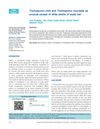 Trichosporon Inkin and Trichosporon Mucoides as Unusual Causes of White Piedra of Scalp Hair