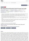 Macrophage-Derived Extracellular Vesicle Promotes Hair Growth