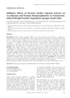 Inhibitory Effects of Pueraria Mirifica Aqueous Extracts on 5α-Reductase and Prostate Histomorphometry in Testosterone-Induced Benign Prostatic Hyperplasia Sprague Dawley Rats