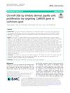 Chi-miR-30b-5p Inhibits Dermal Papilla Cells Proliferation by Targeting CaMKIIδ Gene in Cashmere Goat