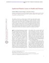Epidermal Polarity Genes in Health and Disease