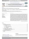 Epithelial Stem Cells And Implications For Wound Repair