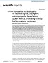 Fabrication and Evaluation of Vitamin-Doped ZnO/AgNPs Nanocomposite Based Wheat Gluten Films: Promising Findings for Burn Wound Treatment