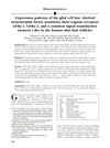 Expression Patterns of Glial Cell Line-Derived Neurotrophic Factor, Neurturin, Their Cognate Receptors GFRα-1, GFRα-2, and Common Signal Transduction Element c-Ret in Human Skin Hair Follicles