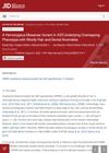 A Homozygous Missense Variant in K25 Underlying Overlapping Phenotype With Woolly Hair and Dental Anomalies
