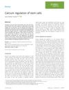 Calcium Regulation of Stem Cells