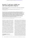 Keratin 17 Null Mice Exhibit Age- And Strain-Dependent Alopecia