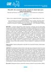 Minoxidil and Rosemary Essential Oil: Proposal for a Topical Solution for Androgenetic Alopecia