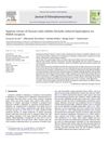 Aqueous Extract of Asiasari Radix Inhibits Formalin-Induced Hyperalgesia via NMDA Receptors