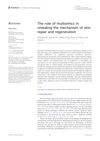 The Role of Multiomics in Revealing the Mechanism of Skin Repair and Regeneration