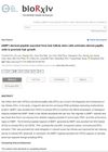 AIMP1-Derived Peptide Secreted from Hair Follicle Stem Cells Activates Dermal Papilla Cells to Promote Hair Growth