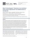 Mixed Antiandrogenic Chemicals at Low Individual Doses Produce Reproductive Tract Malformations in the Male Rat