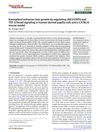Kaempferol Enhances Hair Growth by Regulating JAK3/STAT6 and TGF-β/Smad Signaling in Human Dermal Papilla Cells and a C57BL/6 Mouse Model