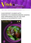 Case Report: Scabies With Normocytic Normochromic Anemia And Abnormalities In The Hair Medulla In Domestic Cats