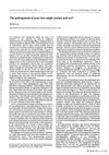 The Pathogenesis of Acne: How Might Azelaic Acid Act?