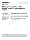 Establishing a Robust Preclinical Model to Investigate Early and Late Radiation-Induced Skin Reactions