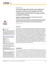 Intravital Longitudinal Wide-Area Imaging of Dynamic Bone Marrow Engraftment and Multilineage Differentiation Through Nuclear-Cytoplasmic Labeling