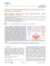 Protein-Based Functional Hydrogel Improves Cutaneous Nerve Repair And Diabetic Wound Healing