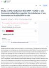 Study on the Mechanism That SNPs Related to Sex Hormone Metabolism Regulate the Imbalance of Sex Hormones and Lead to BPH in Rats