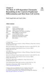 The Role of ATP-Dependent Chromatin Remodeling in the Control of Epidermal Differentiation and Skin Stem Cell Activity