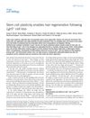 Stem Cell Plasticity Enables Hair Regeneration Following Lgr5+ Cell Loss
