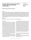 The Hair Follicle: Functions, Self-Renewal, and Alopecic Disorders