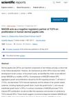 MAD2B Acts as a Negative Regulatory Partner of TCF4 on Proliferation in Human Dermal Papilla Cells