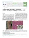 Eruptive Vellus Hair Cysts in an Unusual Location with Atypical Pathological Features