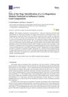 Hair of the Dog: Identification of a Cis-Regulatory Module Predicted to Influence Canine Coat Composition