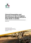 Clinical Presentation and Occurrence of Contagious Skin Diseases Mange and Orf in Goat Herds in Zambia