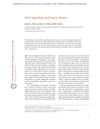 Wnt Signaling and Injury Repair
